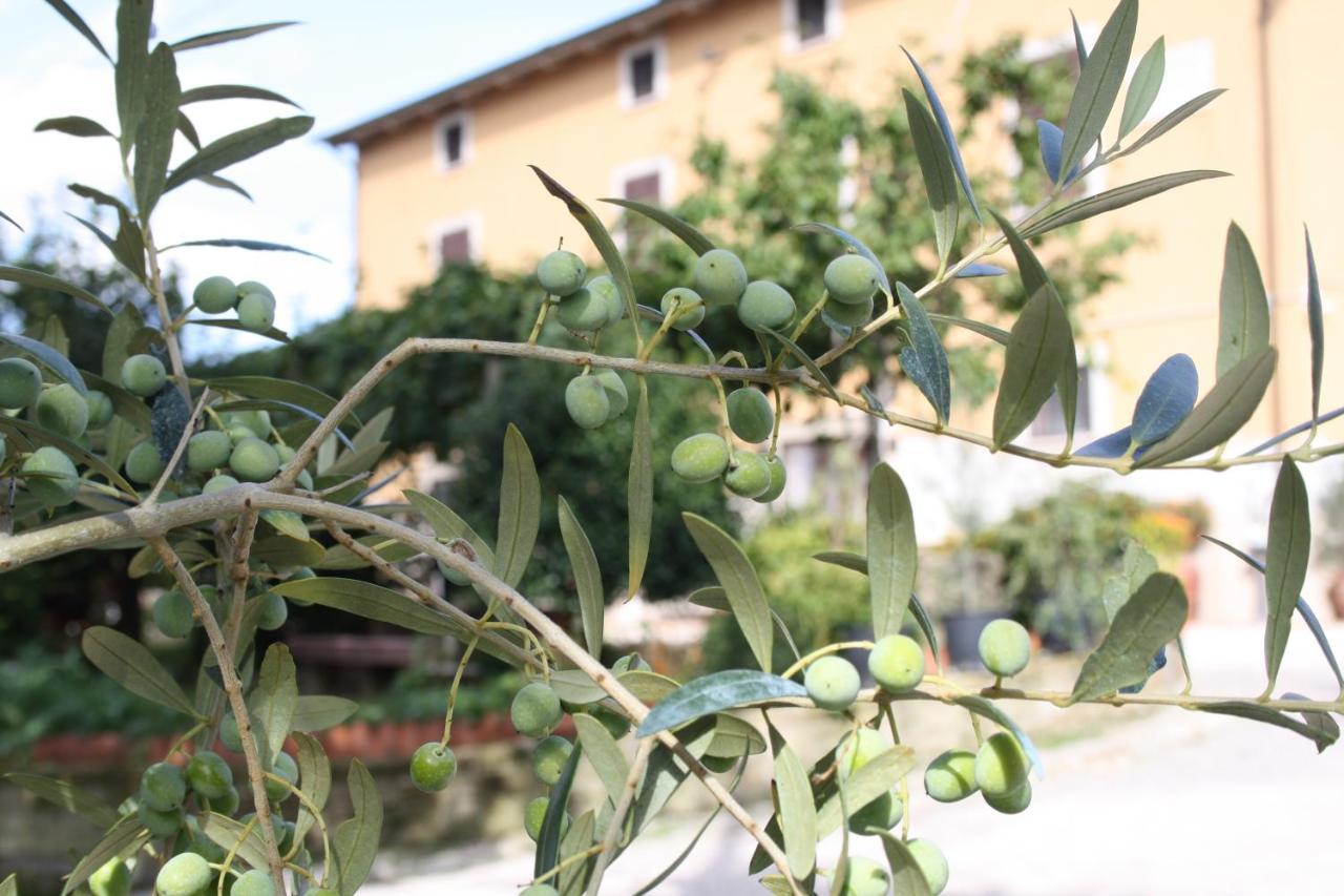 B&B Al Frantoio 키우시 외부 사진